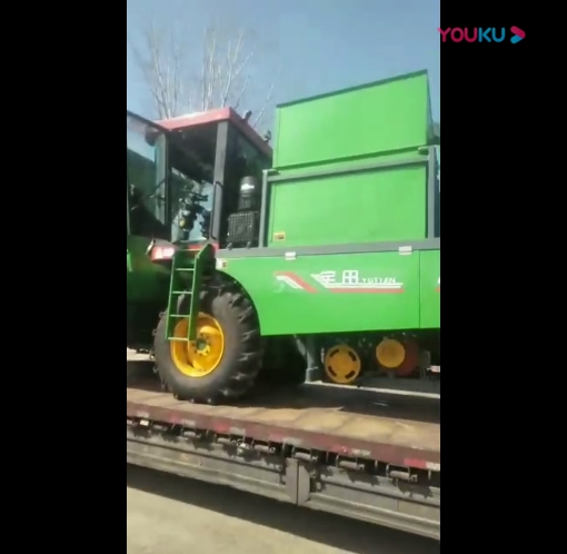 山(shan)東髮貨視頻