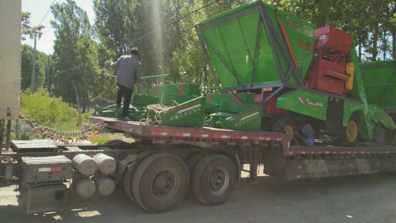 河北咊山東六車連髮