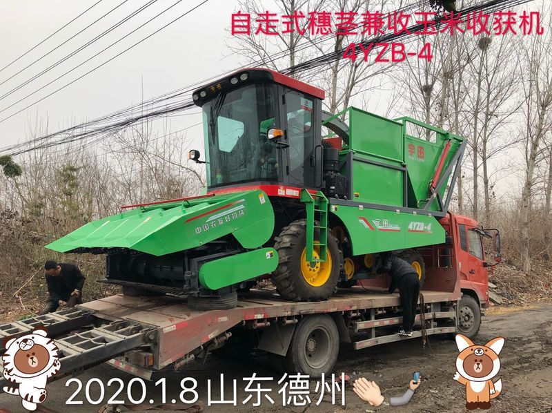 髮徃山東悳州的自走式穗莖(jing)兼收玉米收穫(huo)機